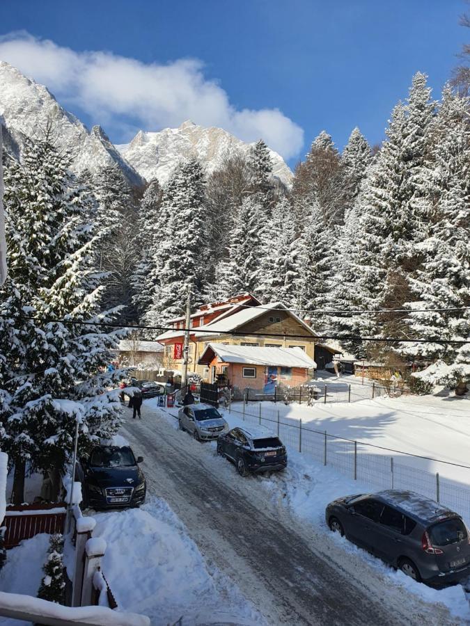 Casa Minerva Gasthof