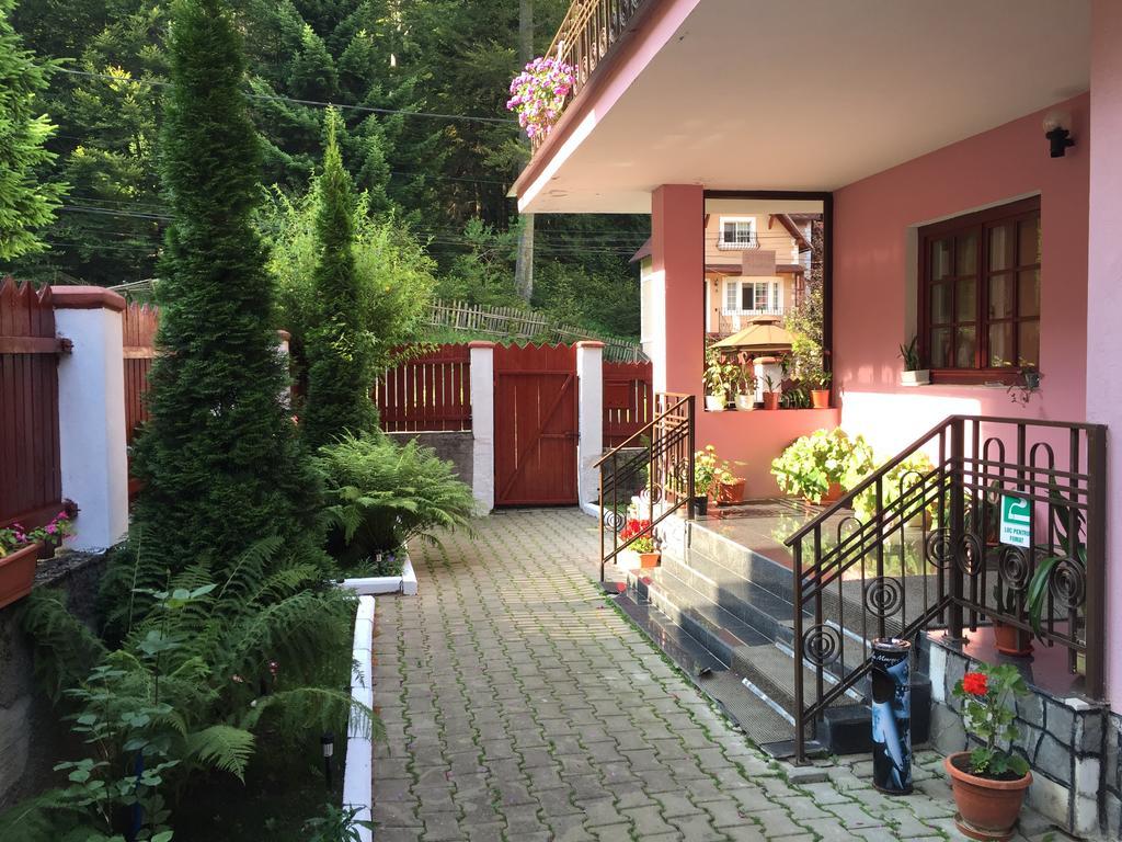 Pensiune Casa Minerva 3*
