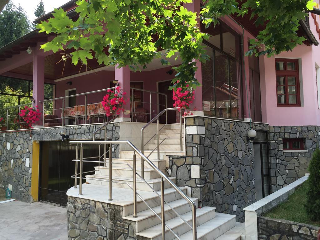 Pensiune Casa Minerva Buşteni